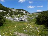 Planina Podvežak - Kocbekov dom na Korošici